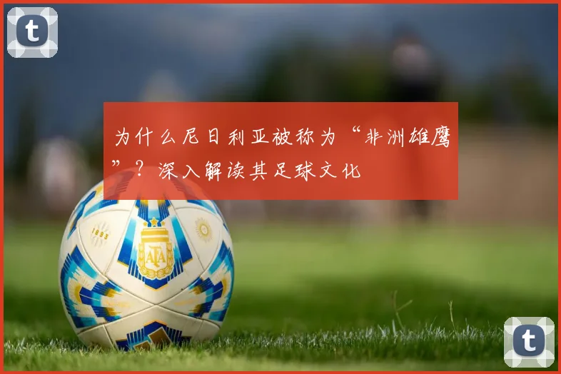为什么尼日利亚被称为“非洲雄鹰”?深入解读其足球文化