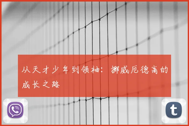 从天才少年到领袖：挪威厄德高的成长之路